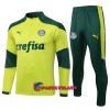 Palmeiras Training Huppari Suits 2021-22 Neljännes Zip Vihreä - Miesten